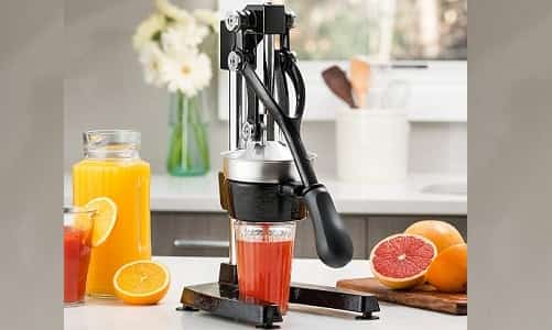 Top 10 Best Citrus Juicer 2020 Reviews & Buying Guide 1