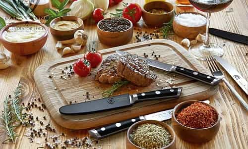 DALSTRONG Steak Knives Set